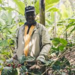 farmer, jungle, tanzania, africa, nature, bush, texture, coffee, farming, forest, farmer, farmer, farmer, farmer, farmer, tanzania, tanzania, tanzania, tanzania, tanzania